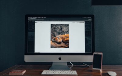 Konserwacja WordPress – lista zadań, które warto robić regularnie